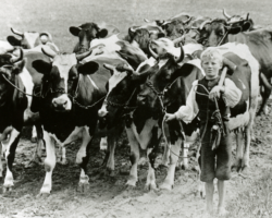 Drengeliv i 1939